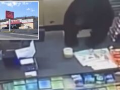 Urso negro persegue menino ‘gritante’ de 11 anos até uma loja de um dólar antes de pular o balcão: vídeo Um urso preto no caixa de uma loja.