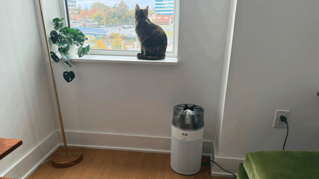 Utilizei o Dyson HushJet 24 horas por dia, 7 dias Abertura de fluxo de ar na parte superior do purificador de ar Dyson HushJet