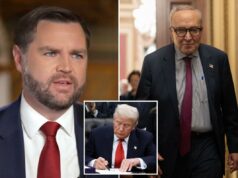 Vance critica os democratas por rejeitarem anteriormente o ‘acordo exato’ que reabriu o governo: ‘Tudo por nada’ Vance critica os democratas por rejeitarem anteriormente o 'acordo exato' que reabriu o governo: 'Tudo por nada'