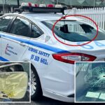 Vândalo em Lexus destrói 11 viaturas da polícia de Nova York estacionadas em frente à mais nova delegacia: policiais
