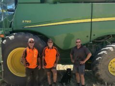 Variedades poderosas de trigo se enfrentam com alguns resultados interessantes Variedades poderosas de trigo se enfrentam com alguns resultados interessantes