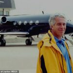 Com uma grande quantidade de arquivos do Departamento de Justiça se aproximando, os investigadores e o público estão se preparando para novas revelações sobre os segredos obscuros a bordo do Lolita Express de Epstein.