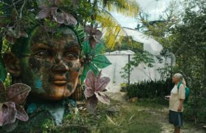 Vencedor de Berlim ‘The Blue Trail’ para abrir o IFFI da Índia; Festival apresentará foco no Japão, Aamir Khan Masterclass Vencedor de Berlim 'The Blue Trail' para abrir o IFFI da Índia; Festival apresentará foco no Japão, Aamir Khan Masterclass