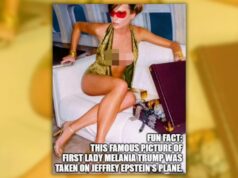 Verificação de fatos: a foto mostra Melania Trump, mas não foi capturada no avião de Epstein Avaliação: Erro de endereço