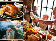 Você está aproveitando seu Dia de Ação de Graças? Como obter o melhor retorno nutricional para seu pássaro Você está aproveitando seu Dia de Ação de Graças? Como obter o melhor retorno nutricional para seu pássaro