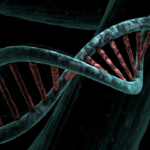 "Descobrimos o segredo da vida": O ganhador do Prêmio Nobel, James Watson, falece