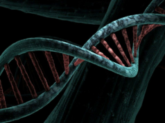 "Descobrimos o segredo da vida": O ganhador do Prêmio Nobel, James Watson, falece "Descobrimos o segredo da vida": O ganhador do Prêmio Nobel, James Watson, falece