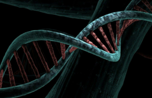 "Descobrimos o segredo da vida": O ganhador do Prêmio Nobel, James Watson, falece "Descobrimos o segredo da vida": O ganhador do Prêmio Nobel, James Watson, falece