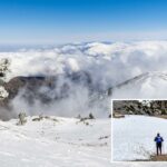 Pinheiros cobertos de geada no Monte San Antonio com um mar de nuvens cobrindo o vale abaixo.