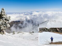 3 caminhantes confirmados como mortos após desaparecerem no Monte Baldy Pinheiros cobertos de geada no Monte San Antonio com um mar de nuvens cobrindo o vale abaixo.