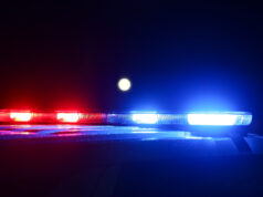 4 estados republicanos ajudarão a Segurança Interna a obter registros de carteira de motorista Desenho animado de Mike Luckovich