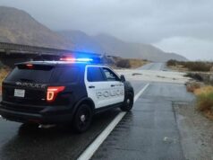 4 gatos mortos encontrados no freezer, 17 animais recuperados de casa ‘insalubre’ Candiace Dillard Bassett do RHOP reage à prisão de Wendy Osefo Estou chocado 2232796651 2185334301