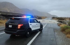 4 gatos mortos encontrados no freezer, 17 animais recuperados de casa ‘insalubre’ Candiace Dillard Bassett do RHOP reage à prisão de Wendy Osefo Estou chocado 2232796651 2185334301