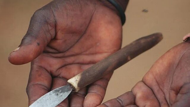 áfrica do sul-wviorg-1