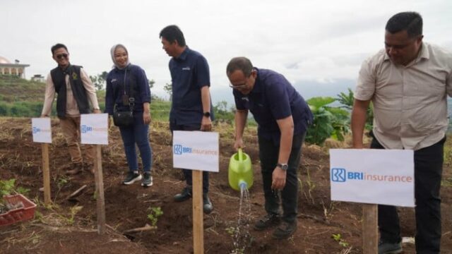 A BRI Insurance está fazendo isso para incentivar a economia A BRI Insurance está fazendo isso para incentivar a economia regional a reduzir o impacto das mudanças climáticas
