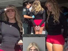 A adolescente Tara Ashley Palmieri da Flórida se torna viral após uma chocante prisão por câmera corporal chegar às redes sociais Yahoo news home