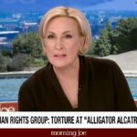A apresentadora de 'Morning Joe', Mika Brzezinski, engasga com relatos de tortura em Alligator Alcatraz: 'Não tratamos as pessoas como animais' | Vídeo