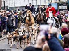 A caça ao Boxing Day desafia Chris Packham e o conselho local a seguir em frente com a tradição centenária à medida que a proibição trabalhista se aproxima Os defensores da caça desafiaram a oposição de Chris Packham e do conselho local para prosseguir com seu centenário encontro do Boxing Day