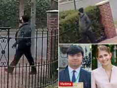 A caça ao atirador Brown se concentra na cidade de NH, onde um veículo suspeito foi encontrado – enquanto os policiais investigam uma possível ligação com o assassinato do professor nuclear do MIT A caça ao atirador Brown se concentra na cidade de NH, onde um veículo suspeito foi encontrado - enquanto os policiais investigam uma possível ligação com o assassinato do professor nuclear do MIT