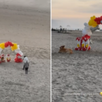 A celebração do aniversário do cachorro na praia se torna viral enquanto um transeunte captura tudo