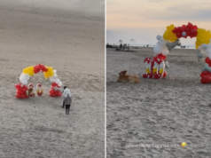 A celebração do aniversário do cachorro na praia se torna viral enquanto um transeunte captura tudo A celebração do aniversário do cachorro na praia se torna viral enquanto um transeunte captura tudo