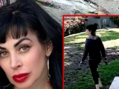 A esposa de ‘Weezer’, Jillian Lauren Shriner, quebra o silêncio meses após a prisão jillian-shriner-ig-lapd-1