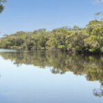 A estação Scott River certamente despertará o interesse em pastoreio ou troca de árvores