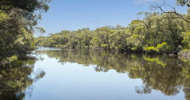 A estação Scott River certamente despertará o interesse em pastoreio ou troca de árvores

