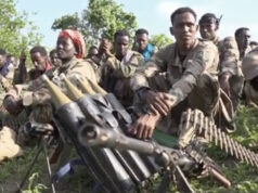 A luta contra a Al-Shabab falhou? A luta contra a Al-Shabab falhou?