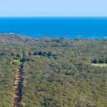 A mudança nas árvores e no mar proporcionou um alívio muito necessário para a lenda do basquete