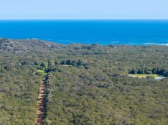A mudança nas árvores e no mar proporcionou um alívio muito necessário para a lenda do basquete A mudança nas árvores e no mar proporcionou um alívio muito necessário para a lenda do basquete