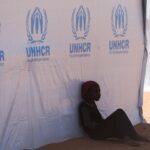 A pressão da Suécia para que um ex-CEO da IKEA lidere o ACNUR sinaliza uma nova ordem de refugiados