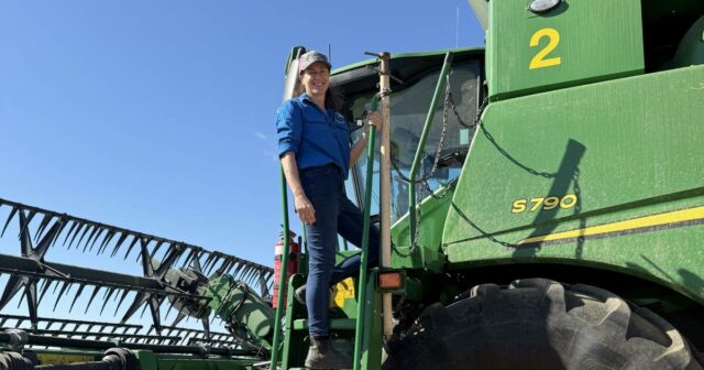 A produtora conta com suas bênçãos, pois as toneladas de A produtora conta com suas bênçãos, pois as toneladas de canola impressionam, apesar do início tardio