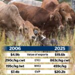 A questão dos 20 mil milhões de dólares: os produtores avaliam o verdadeiro custo do imposto sobre a carne bovina