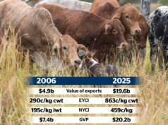 A questão dos 20 mil milhões de dólares: os produtores avaliam o verdadeiro custo do imposto sobre a carne bovina A questão dos 20 mil milhões de dólares: os produtores avaliam o verdadeiro custo do imposto sobre a carne bovina