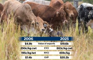 A questão dos 20 mil milhões de dólares: os produtores avaliam o verdadeiro custo do imposto sobre a carne bovina A questão dos 20 mil milhões de dólares: os produtores avaliam o verdadeiro custo do imposto sobre a carne bovina