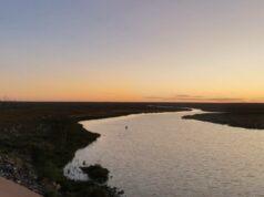 A questão dos 355 gigalitros: irão os agricultores pagar pela escassez de água do Partido Trabalhista? A questão dos 355 gigalitros: irão os agricultores pagar pela escassez de água do Partido Trabalhista?