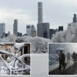 A região de Nova York se prepara para uma tempestade de neve 'rápida' de sexta a sábado: 'Pior cenário razoável de até 25 centímetros'