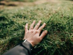 A tecnologia de herbicida sem produtos químicos da Naware pode mudar a forma como tratamos os gramados hand touching grass