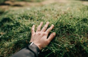 A tecnologia de herbicida sem produtos químicos da Naware pode mudar a forma como tratamos os gramados hand touching grass