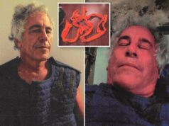 A última divulgação dos arquivos de Epstein inclui relatório pós-tentativa de suicídio, fotos 3 semanas antes de sua morte A última divulgação dos arquivos de Epstein inclui relatório pós-tentativa de suicídio, fotos 3 semanas antes de sua morte