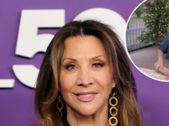 A veterinária Cheri Oteri do ‘SNL’ detalha partes caóticas do ‘Great American Baking Show’ Um guia para todos os filmes de férias na TV nesta temporada de 2025