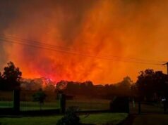Adolescente acusado depois que fogos de artifício provocam sérios incêndios florestais durante as celebrações da NYE O incêndio começou na Avenida Temby por volta das 12h20 e rapidamente se espalhou pelas pastagens.