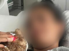 Adolescente leva bala enquanto protegia duas crianças no ataque de Bondi Uma menina de 14 anos levou corajosamente uma bala na coxa enquanto protegia duas crianças dos tiros que choveram sobre a multidão em Bondi Beach. 