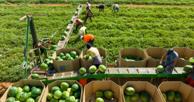 Aguardado conselho alimentar atrai críticas sobre representação comercial
