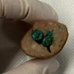 Veterinários emitiram um alerta depois que um cachorro ficou doente por comer comida envenenada em um parque popular no interior de Sydney.