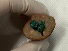 Alerta aos donos de cães após salsichas envenenadas deixadas no parque de Sydney Veterinários emitiram um alerta depois que um cachorro ficou doente por comer comida envenenada em um parque popular no interior de Sydney.