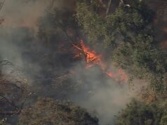 Alertas de incêndio florestal para a capital do estado, enquanto partes da Austrália devem queimar esta semana Parte do CBD de Perth também foi atingida por incêndios florestais, e especialistas alertam que as condições podem piorar ainda mais os incêndios.