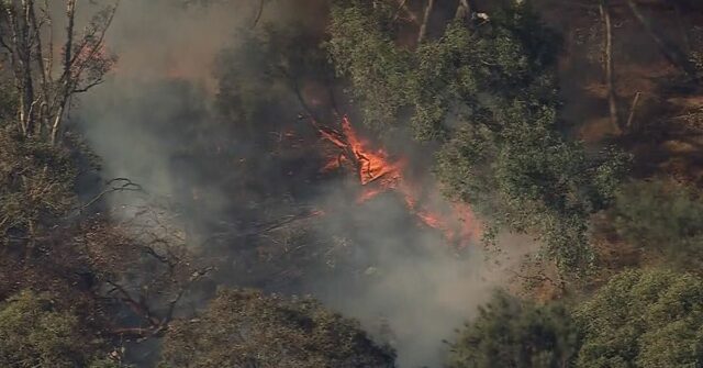 Alertas de incêndio florestal para a capital do estado, enquanto Parte do CBD de Perth também foi atingida por incêndios florestais, e especialistas alertam que as condições podem piorar ainda mais os incêndios.