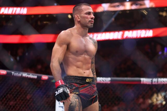 Alexandre Pantoja at UFC 317